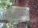image of grave number 528078